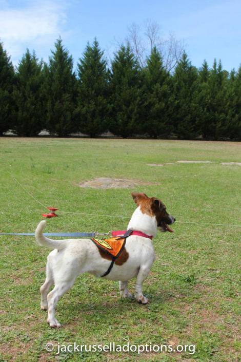 Penny ... wide open spaces ... Let me RUN!