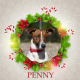 Penny