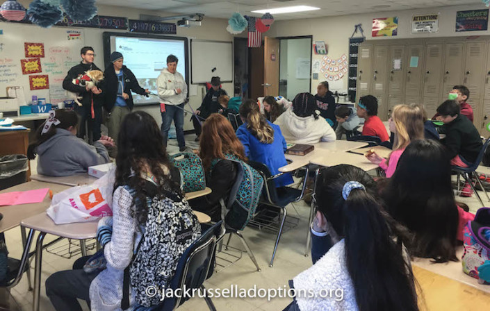 Classroom full of animal advocates!