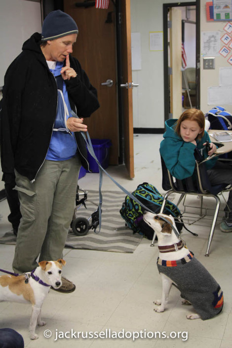 Morgan working with Oscar, who is deaf.