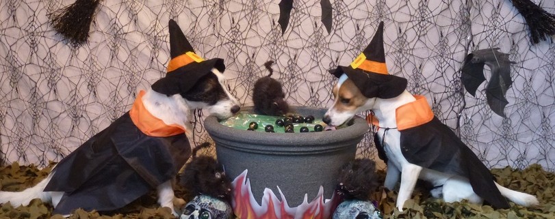 Witch Milly and Witch Milo