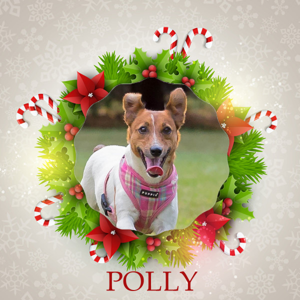 Angel Tree Polly