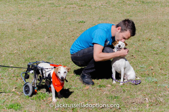 That's one proud papa! wink emoticon Isis Maria S. - The adventures of a Parson Jack Russell Terrier rocked everything she tried yesterday, too. From the look on his face, we think Kennedy is still convinced he could take her in a race.
