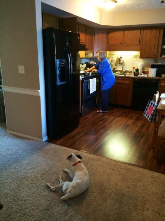 Rocky watching Grandma cook