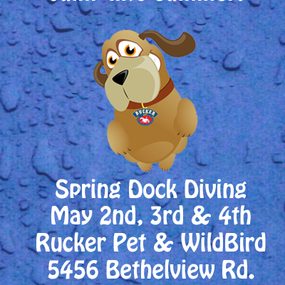 Spring Dock Diving Event