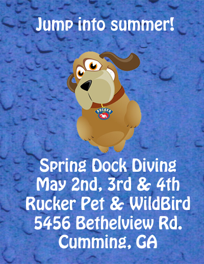 Spring Dock Diving Event