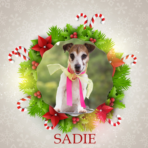 Angel Tree Sadie