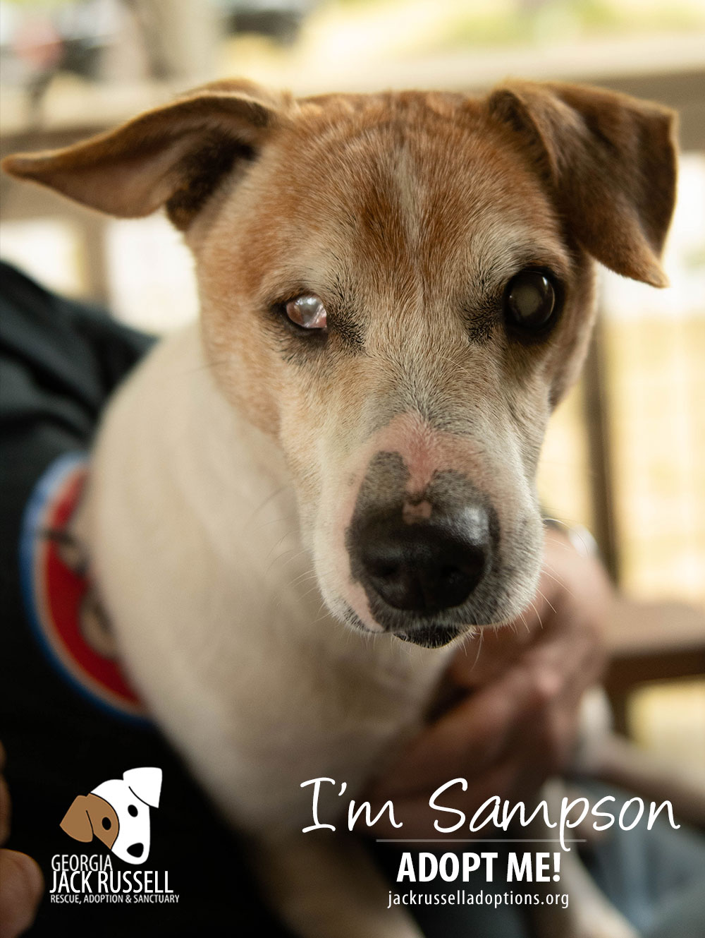 sampson