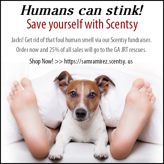 Scentsy fundraiser