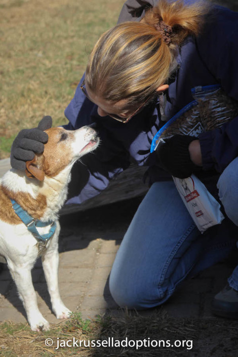 Ernie Gets Adopted