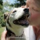 Mama Donna kissing Skip