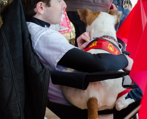 Smooch a Pooch at City Dog Market