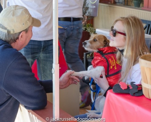 Smooch a Pooch at City Dog Market