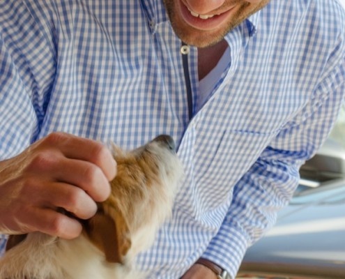 Smooch a Pooch at City Dog Market