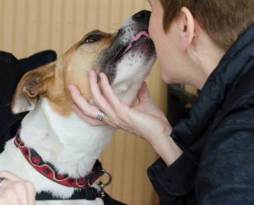 Smooch a Pooch at City Dog Market