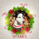 Sparky