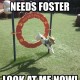 I Was A Special Needs Foster