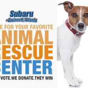 Help us win $700 for the rescues in the Subaru Facebook Contest