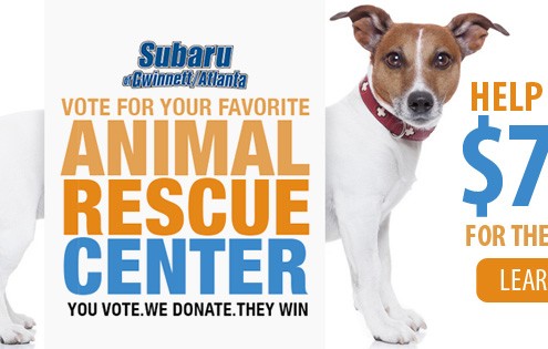 Help us win $700 for the rescues in the Subaru Facebook Contest