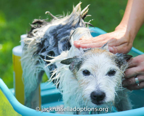 Eli getting a bath