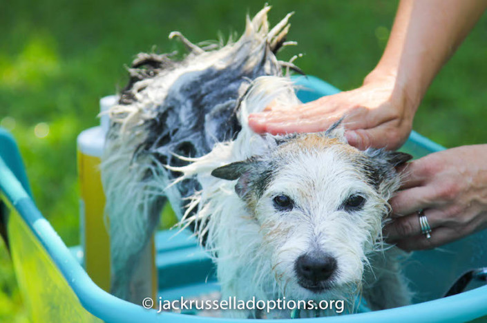 Eli getting a bath