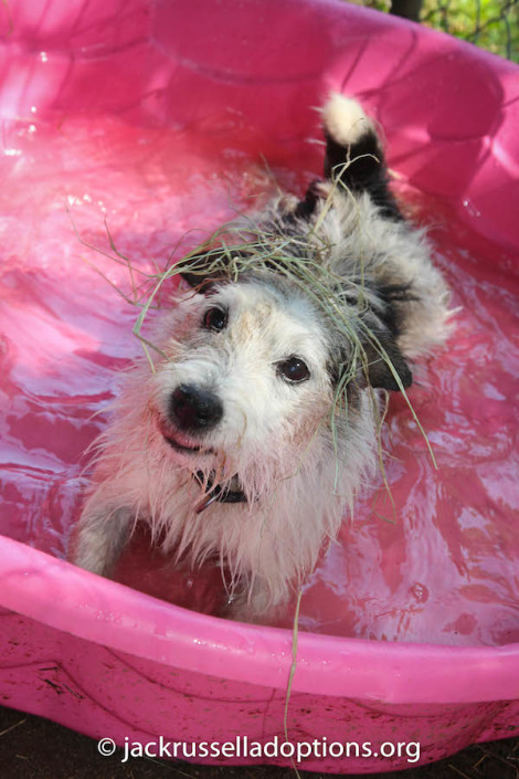 Eli in the pool