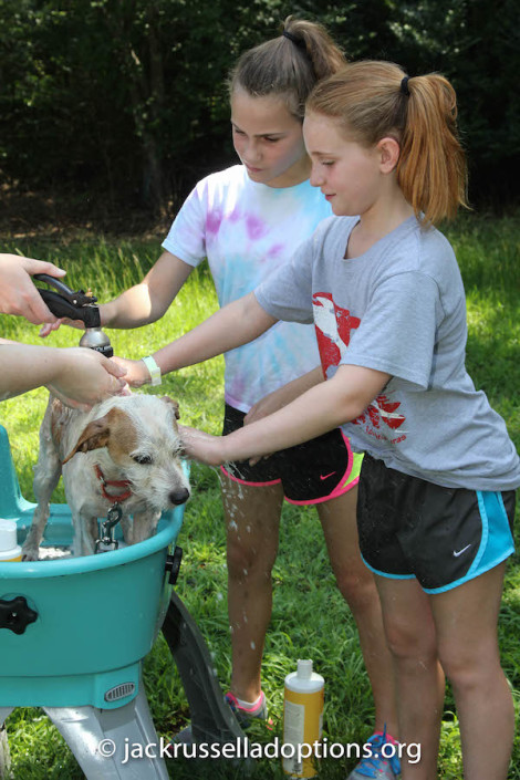 Joey getting a bath