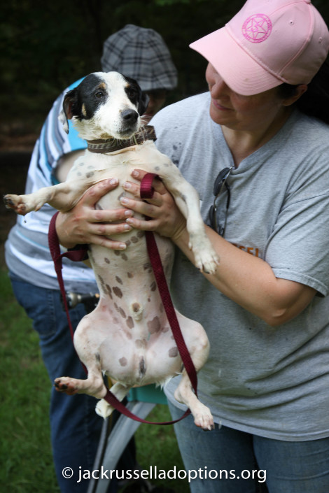 Petey drip-drying