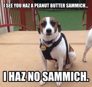 Susie's peanut butter meme