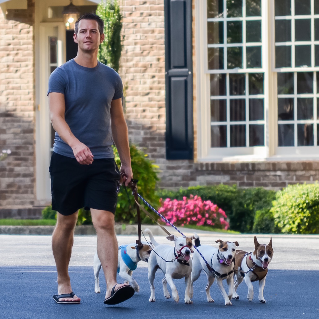 Kevin Schwutke walking Cobb, Chad, Isis Maria and Carson