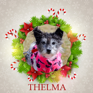 Thelma