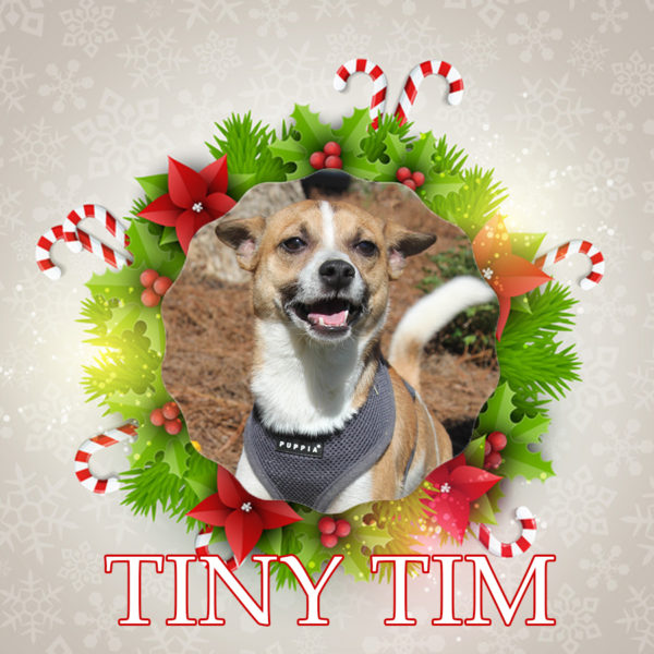 Tiny Tim