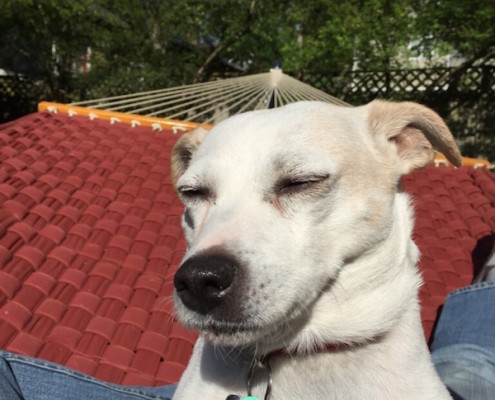 Hanging in the hammock with Mom