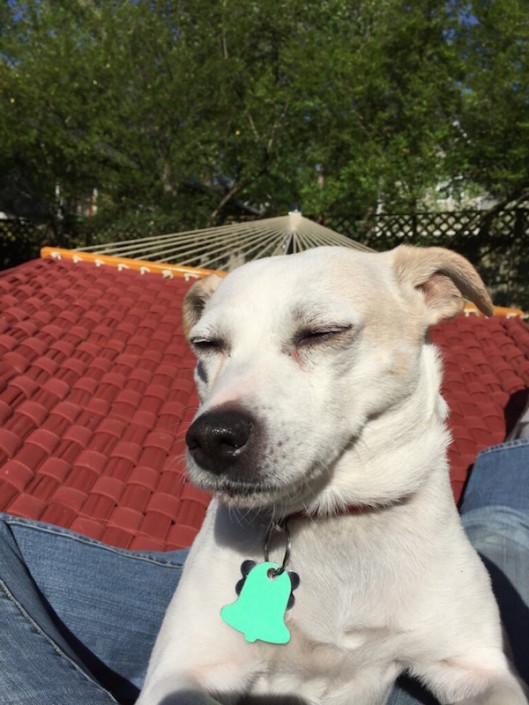 Hanging in the hammock with Mom