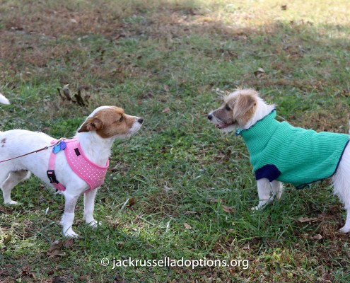 Emma and Cooper