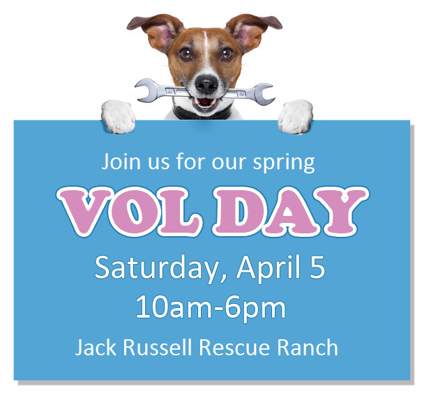 Join us for our spring Vol Day Sunday at the Jack Russell Rescue Ranch!
