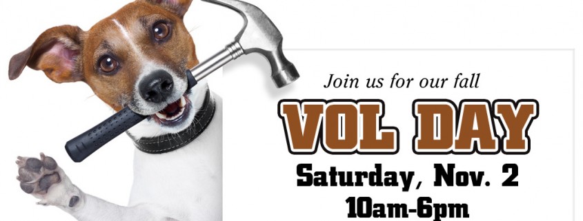 Fall Voll Day