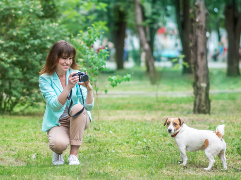 Dog photographer for rescue