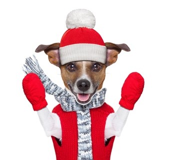 Winter volunteers needed