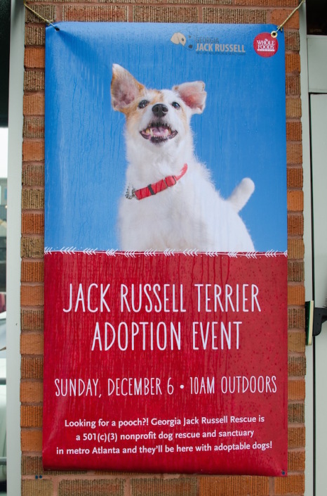 Whole Foods Adoption Event sign