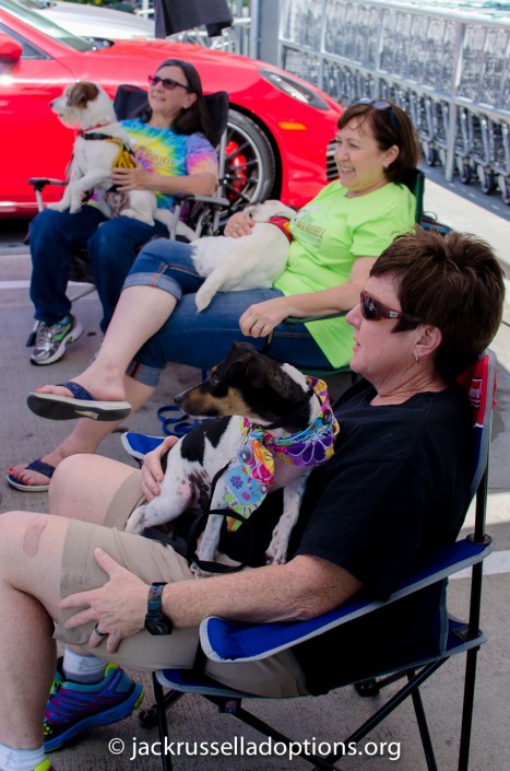 Pam, Debbie and Kim with Stormy, Rocky and Damon