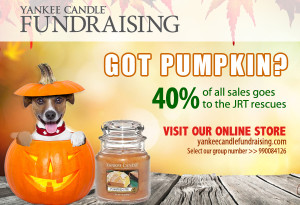 Yankee Candle Fundraiser for Jack Russell Rescue