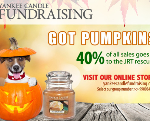 Yankee Candle Fundraiser for Jack Russell Rescue