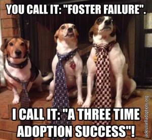 You Call It Foster Failure, I Call It A Three Time Adoption Success