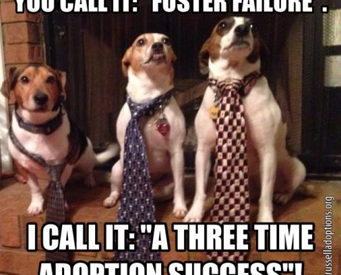 You Call It Foster Failure, I Call It A Three Time Adoption Success