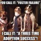 You Call It Foster Failure, I Call It A Three Time Adoption Success